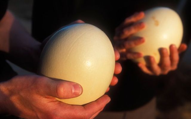 SMSFs differ from other funds so understand the differences