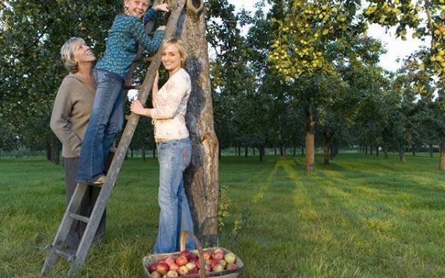 Division 7A, think twice or you could be paying more tax