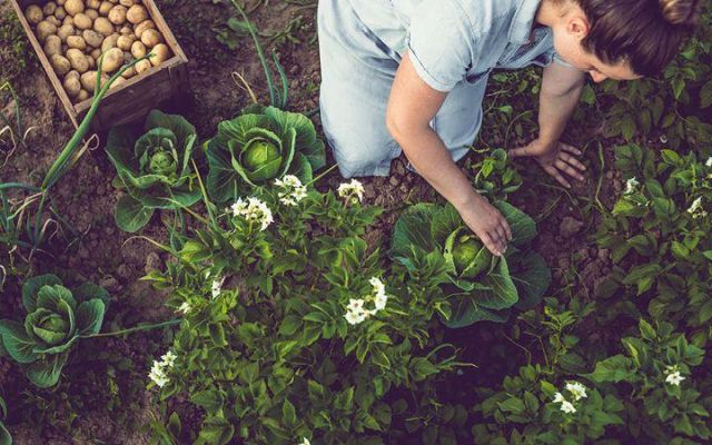 Cash income from gig economy sites? Are you declaring it?