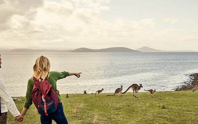 Backpackers on working holidays are to pay less tax