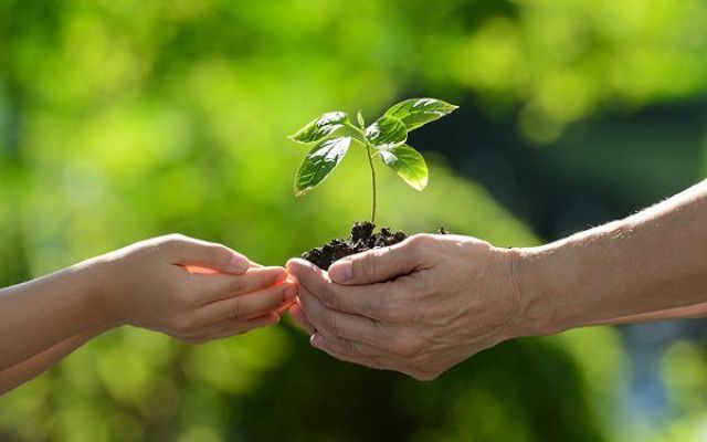 Super guarantee, are you ready for ATO crack down?